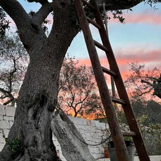 Quei Trulli Divini - Martina Franca - 6