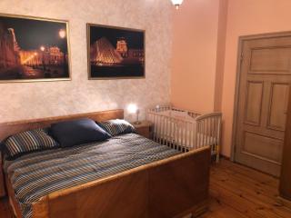 Classical large apartment on Alberta street, FREE locked PARKING - Riga - 7