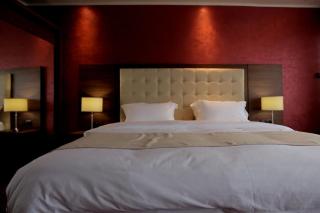 Orbis Design Hotel & Spa - Paraćin - 8