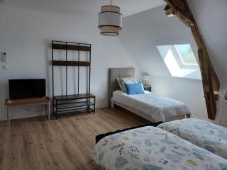 Rêve de Loire chambres d'hôtes au calme au pied des châteaux de la Loire - Onzain - 8