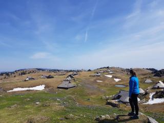Chalet Zlatica Velika Planina - 5