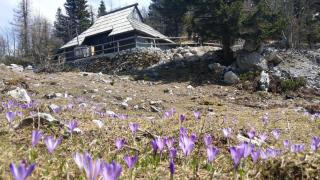 Chalet Pehta Velika Planina - Stahovica - 4
