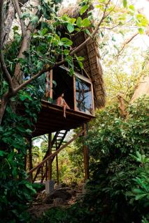 El Pital, Chocolate Paradise - Balgue - 0