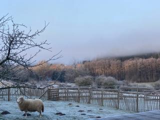 Gut Kalkhäuschen, ein Ort mit Geschichte - 5