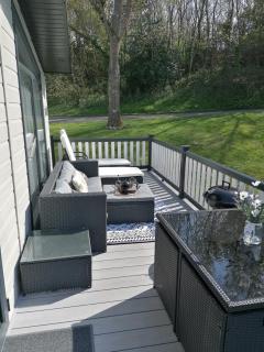 LUXURY LODGE on edge of New Forest and 800m from sea ENTERTAINMENT and LEISURE PASSES INCLUDED - Milford on Sea - 0