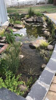 Tuscana Villa Guesthouse - Kroonstad - 3