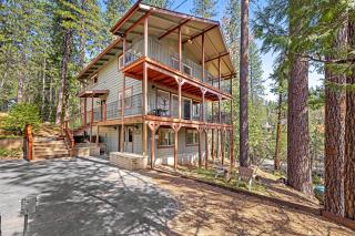 Paws Place - Arnold - 9