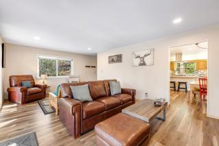 Paws Place - 7
