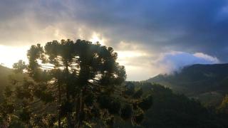 Chalé da Horseland BJ - 4