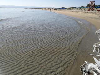 Oasi Legno di Mare Home -Ampio terrazzo in legno a 600 m dalla spiaggia tra Parco del Gargano e Laguna di Lesina - 1
