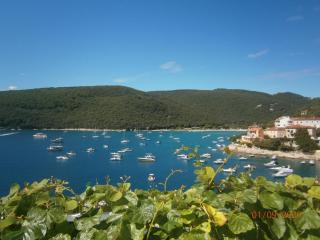 Apartments Sea and Sun - Rabac - 0