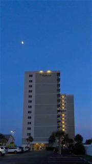 Tradewinds 102 - Cozy Beachfront w/ Spacious Balcony! - Orange Beach - 9