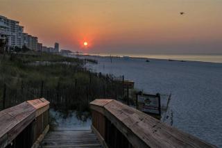 Tradewinds 102 - Cozy Beachfront w/ Spacious Balcony! - Orange Beach - 1