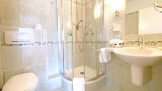 Landgasthof Rebstock Weil am Rhein / Basel - Weil am Rhein - 3
