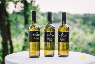 Valentina Guest House at Pintar Wine Estate - Kojsko - 1
