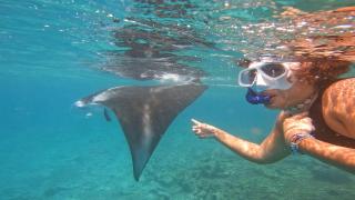 LVIS blancura Hotel - Dharavandhoo - 9