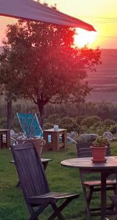 ***** Quinta Do Pôr do Sol ***** - Figueira da Foz - 7