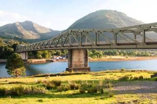 Feel at home while you roam - 1