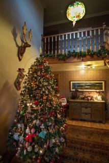 Innes House Bed & Breakfast - 3