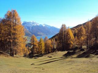 Haus Fliri - 1
