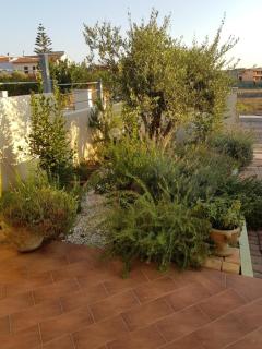 villa "LA PINA" - Valledoria - 5