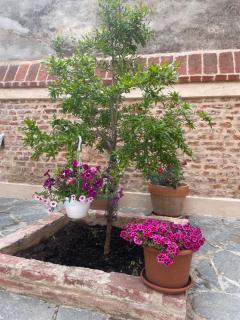Residenza Nikol appartamento Giulia - Casale Monferrato - 2