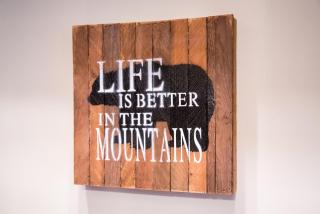 Give Something Back Retreat by Revelstoke Vacations - 2