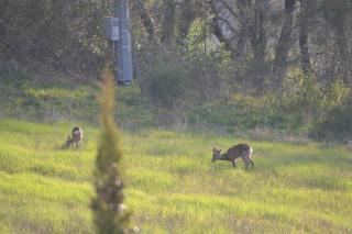 Agriturismo Montesalce - 4