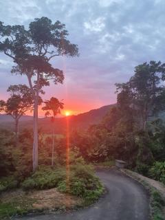 Daintree Holiday Homes - Yurara - Cow Bay - 8