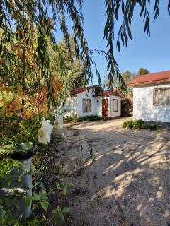 Casas y departamentos en el huerto de "LaEmboscadapuntocl" - Santa Cruz - 9