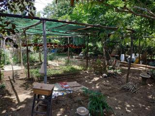 Nguyen Duy homestay - 9