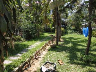Nguyen Duy homestay - Hoi An - 8