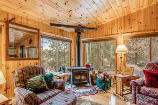 Amber Lake Retreat - Lac du Flambeau - 4