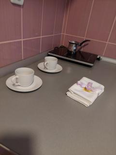 Apartmani Milojić - Soko Banja - 8