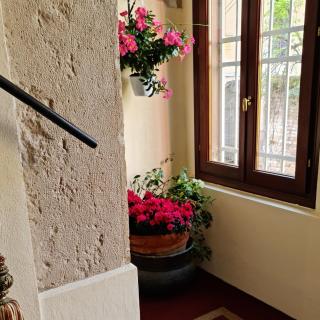 Friendly Venice Suites - Venice - 1