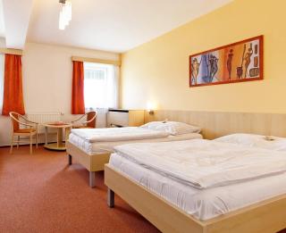 Hotel Senimo - Olomouc - 9