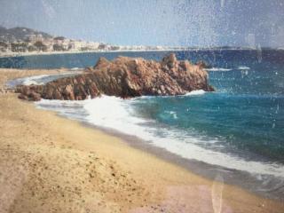 VILLA MAUPASSANT T2 BORD DE MER - Cannes - 3