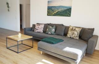 Schultiskopf - Stubenhof, Black Forest - 3