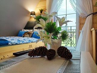 Apartament - Willa Na Górskim Szlaku - 1