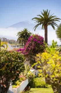 Home2Book Amazing La Palmita Suite - 5