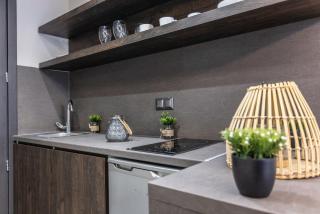 Evitel Luxury Living - Hanioti - 1