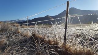 Tenahead Lodge & Spa - 5