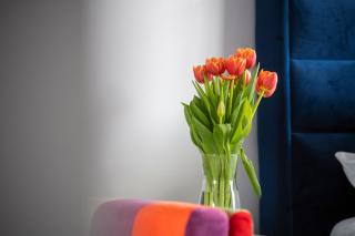 EASY RENT Apartments - Blue Place, Centrum Free Parking 24h Check-in - Lublin - 1