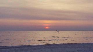 Villa Barbara strandnah erste Reihe - Heringsdorf - 1