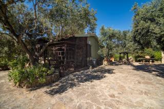 Casa Lilliu - Villacidro - 0
