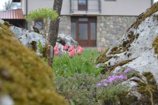 Kuća za odmor Gacka - 6