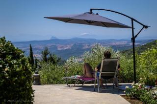 Finca Olivar - 5
