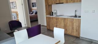 Aparthotel Apartamenty Czarna Góra 234 - Sienna - 5