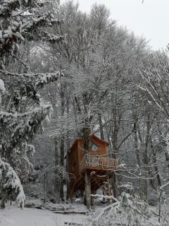 Cabane du Druide Domaine de Fangorn - Glux - 3