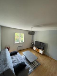 APPARTEMENT LE DOMAINE DES LIBELLULES PROCHE WALIBI - Corbelin - 5